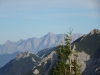 Tannheimer Berge 2019_039