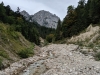 Tannheimer Berge 2019_185