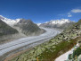 Aletschgletscher 2014