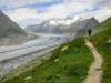 Aletschgletcher_2014_153