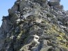 Aletschgletcher_2014_061