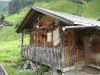 kiental_2011_027