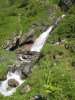 Surenenpass_2013_095