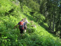 Surenenpass_2013_174