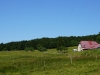 Vogesen2015_084