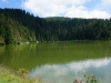 Vogesen2015_109