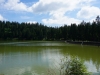 Vogesen2015_110